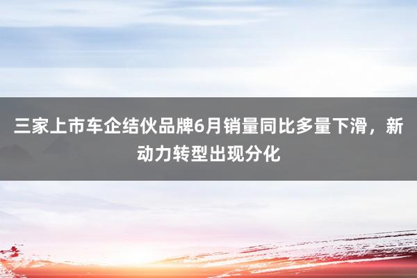 三家上市车企结伙品牌6月销量同比多量下滑，新动力转型出现分化