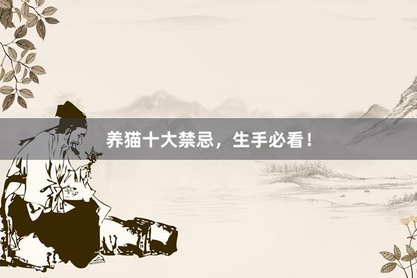 养猫十大禁忌，生手必看！