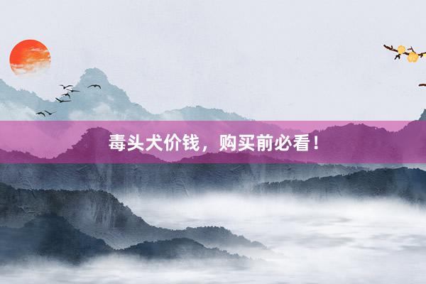 毒头犬价钱，购买前必看！
