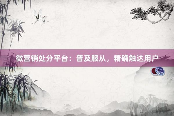 微营销处分平台：普及服从，精确触达用户