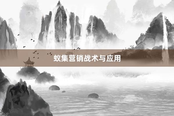 蚁集营销战术与应用